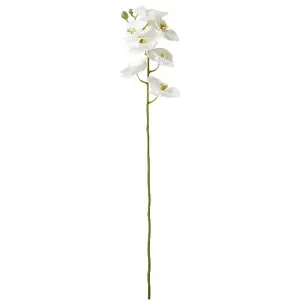 Bloom Artificial Single White Phalaenopsis Flower Stem - Faux Fake Silk Flower Indoor Home Decoration Floral Arrangements - L59cm