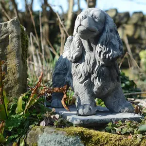 Stone Cast Standing Cocker Spaniel Garden Ornament