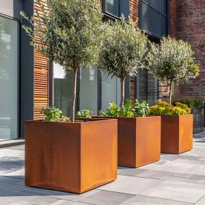 60cm Corten Steel Cube Planter with Rounded Corners