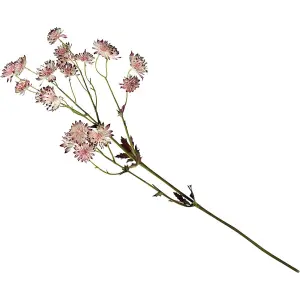 Bloom Artificial Single Pink Astrantia Flower Stem - Faux Fake Silk Flower Indoor Home Decoration Floral Arrangements - L60cm