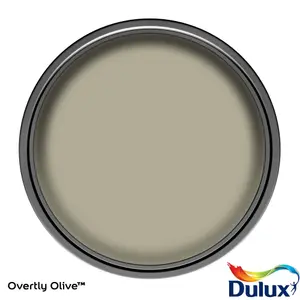 Dulux Simply Refresh Overtly Olive Eggshell Multi-surface Emulsion paint, 750ml