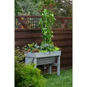 VegTrug Raised Garden Bed Wooden Planter Small Wall Hugger Grey Wash