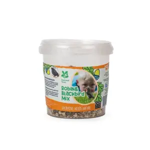 PegDev - PDL - NT Range Kids Robin & Blackbird Mix 500g - Wild Bird Food for Garden - Support Conservation