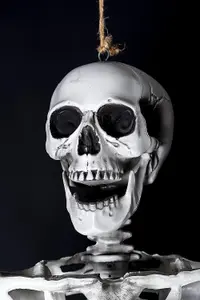 Halloween Poseable Skeleton Decoration 165cm