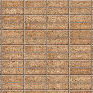 Ibstock Beacon Sahara Brick 65mm Mini Pack 250