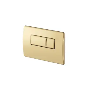 In Wall Dual Flush Cistern for Back to Wall Toilet Pans with Gold Flush Plate