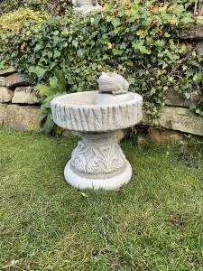 Rustic Garden Birdbath with Frog atop