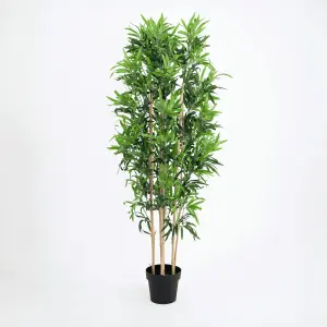 Blooming Artificial - 150cm / 5ft Faux Oriental Bamboo