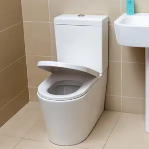 Fable White Ceramic Close Coupled Toilet with Anti Bacterial Glaze & Soft Close Seat