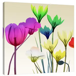 Floral Calm Pop Mate - Wrapped Canvas Print 30 cm H x 30 cm W