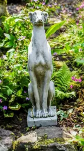 Single Whippet Dog Garden Statue