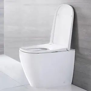 Floor Standing Back to Wall Japanese Style Bidet Toilet