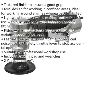 50mm Air Mini Detail Sander with Variable Speed and Hook & Loop Backing Pad