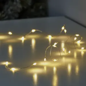 20 Cool white & warm white LED With timer function String lights with 0.96m Silver cable