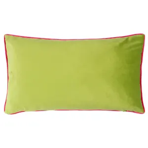 Kate Merritt Tropical Peacock Illustrated Velvet Piped Feather Filled Cushion