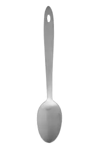 Maison by Premier Hera Brushed Finish Spoon