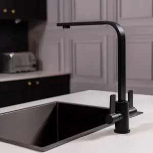 Flode Paddla Dual Lever Kitchen Tap Swan Neck Design Matt Black