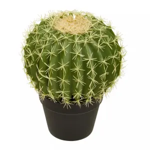 Fiori Cactus Artificial Plant Foliage