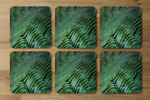 green leaves pattern and texture at Indonesia (Coaster) / Default Title