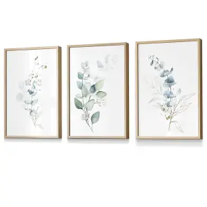 Set of 3 Green Blue Watercolour Eucalyptus Set 2 Wall Art Prints / 30x42cm (A3) / Oak Frame