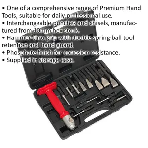 Premium 13 Piece Interchangeable Punch and Chisel Set with Storage Case and Hammer-Thru Grip