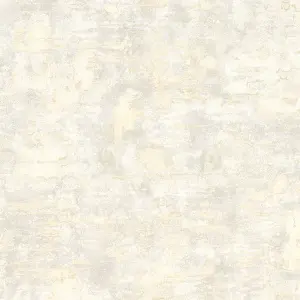 Boutique Ornamental Texture Pale Gold Textured Plain Wallpaper