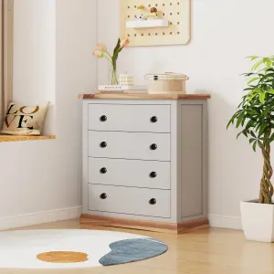 Bomporto 4 Drawer Chest of Drawers Brass Knob