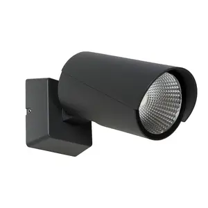 Lucide Manal Modern Wall Spotlight Outdoor - LED - 1x12W 3000K - IP65 - Anthracite