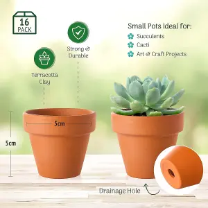 Mini Terracotta Plant Pots - 5cm x 16 Pack - Small Clay Pots for Succulents, Flowers, Candle Making, DIY Crafts & Home Decor