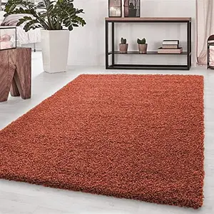 Wadan 80x150cm Terracotta Shaggy Rug - Rectangular Soft Touch Thick Pile Modern Area Rug - Rugs for Living & Bedroom Non Shedding