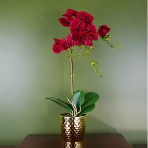 Orchid Artificial Dark Red Gold Pot 50cm Phalaenopsis Botanik