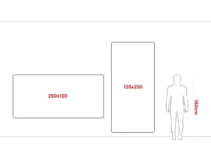 ALLboards Whiteboard dry erase magnetic surface aluminium frame 250x120 cm PREMIUM EXPO