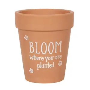 Something Different Bloom Where You Are Planted Terracotta Plant Pot Brown/White (17cm x 15cm x 15cm)