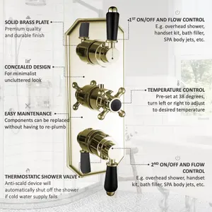 ENKI Regent English Gold Black Crosshead 2-Outlet Solid Brass Thermostatic Triple Shower Valve TSV041