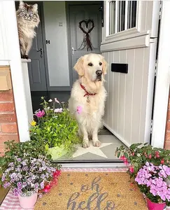 Grey Oh Hello Doormat - Regular