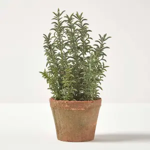 Homescapes Artificial Thyme Plant in Decorative Pot