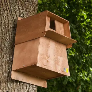 Barn Owl Nest Box with Landing Platform