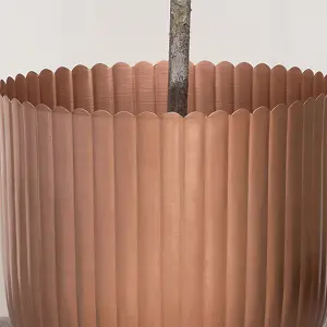 Melody Maison Large Copper Ribbed Metal Planter