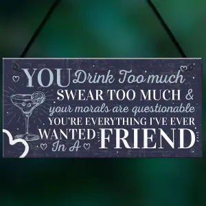 Red Ocean Funny Best Friend Friendship Sign Drink Too Much Gin Vodka Birthday Gift Plaque