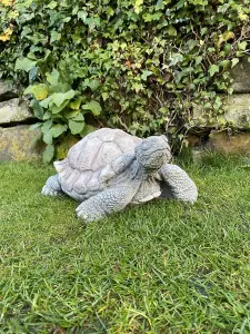 Medium Stone Cast Tortoise Garden Ornament