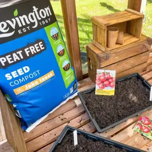 25L John Innes Seed Compost Peat Free Levington High Phosphate Seed Potting Soil