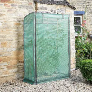 Tomato GroZone Mini Greenhouse with Steel Frame, PE Cover, Vent Holes & Zip Up Front Panel - Measures H150 x W100 x D41cm