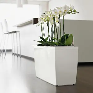 LECHUZA CARARO 75 White High-Gloss Self-watering Planter with Substrate and Water Level Indicator H43 L75 W30 cm, 97L