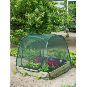 Nature Pop up Greenhouse 100 x 100 x 100 cm 6020409