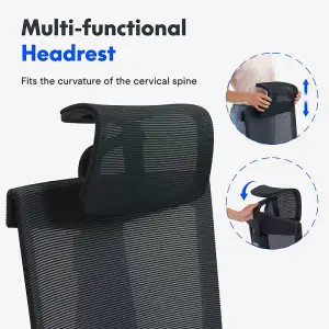 FlexiSpot Breathable and Comfortable Ergonomic Office Chair with Lumbar Support in Black