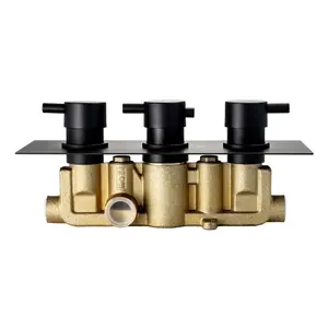 ENKI Venice Black Round 2-Outlet Solid Brass Thermostatic Triple Shower Valve TSV025