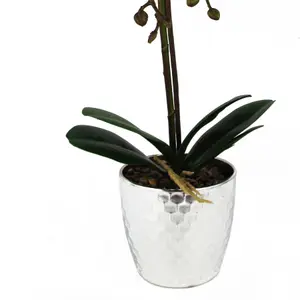 50cm Phalaenopsis Orchid Artificial - Light Pink Silver