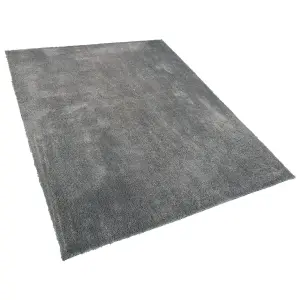 Shaggy Area Rug 200 x 300 cm Grey EVREN