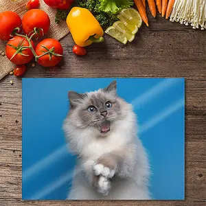 Premium 40 x 30cm 6mm Blue Shocked Cat Worktop Saver Chopping Board Toughened