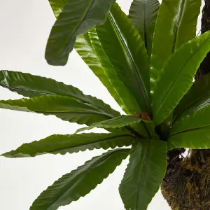 Homescapes Artificial Bird's Nest Fern in Pot, 120 cm Tall